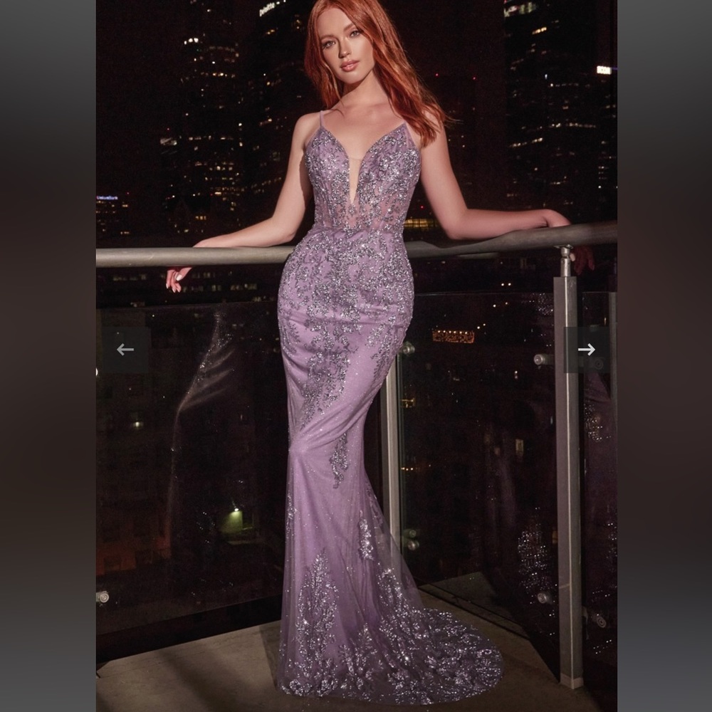 Cinderella Prom Dress